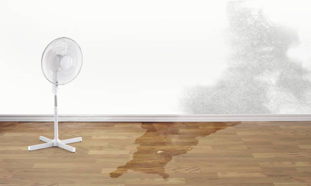 Best 24-hour water damage restoration  in Gold Key Lake, PA
