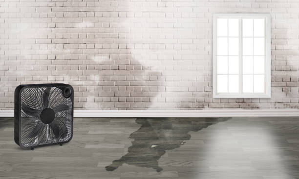 Best Residential water damage restoration  in Gold Key Lake, PA
