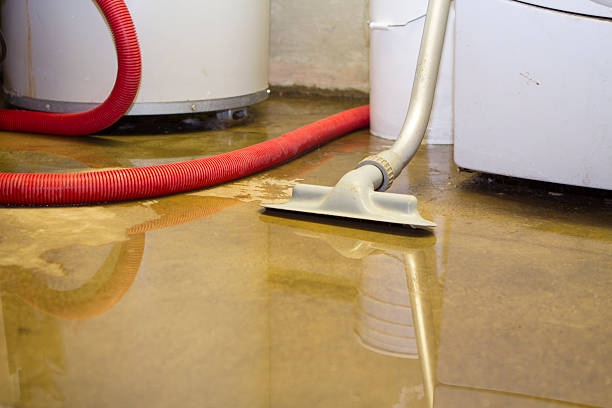 Best Local water damage restoration  in Gold Key Lake, PA