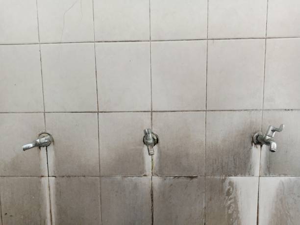 Best Mold removal after water damage  in Gold Key Lake, PA