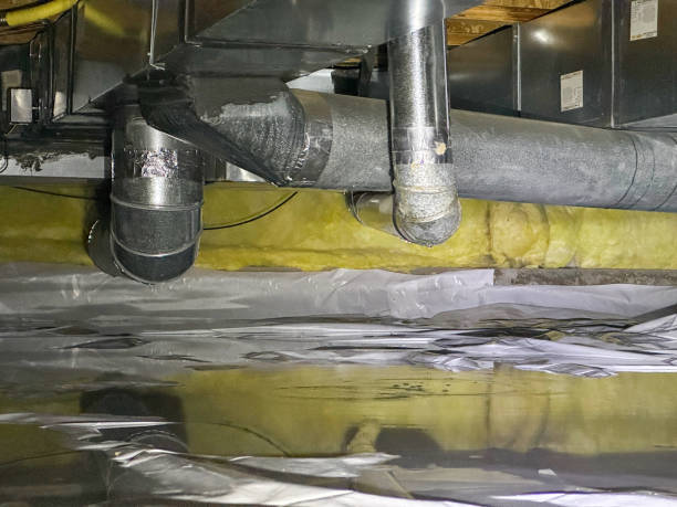 Best Water damage contractors near me  in Gold Key Lake, PA