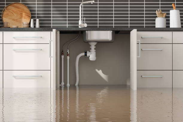 Best Flood damage cleanup  in Gold Key Lake, PA